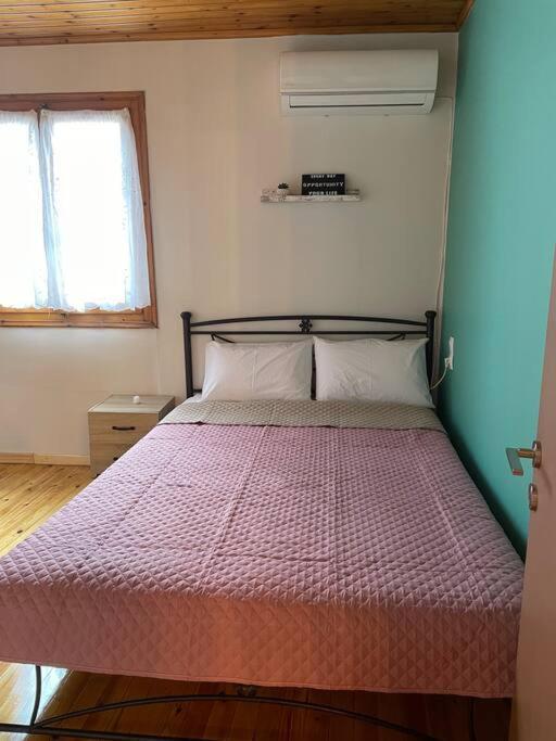 Politis' Wooden House Apartman Vaszilikí Kültér fotó