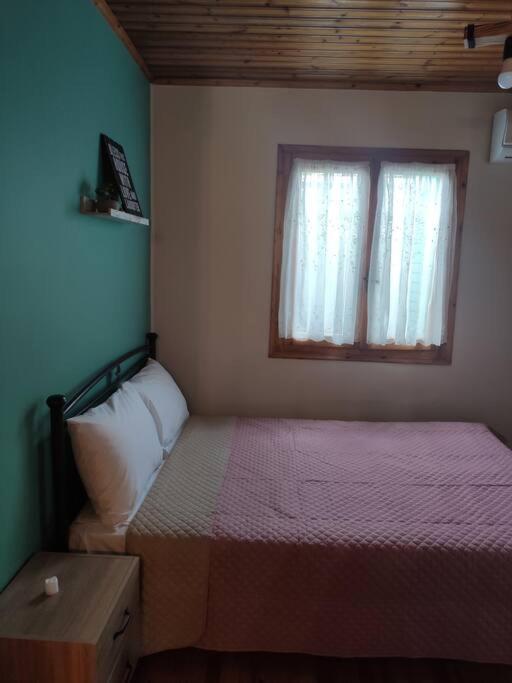 Politis' Wooden House Apartman Vaszilikí Kültér fotó